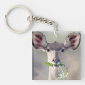 Kudu-Portrait Schlüsselanhänger (Vorderseite)