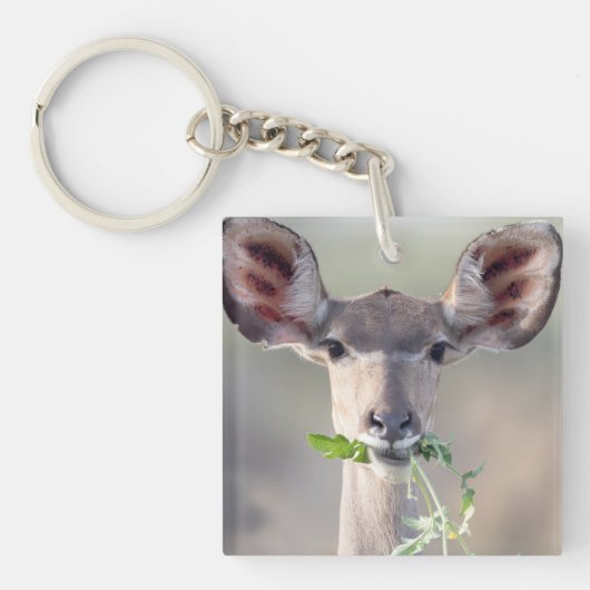 Kudu-Portrait Schlüsselanhänger (Vorderseite)