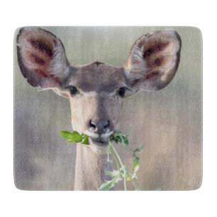 Kudu portrait schneidebrett