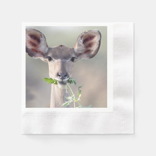 Kudu-Portrait Serviette (Vorderseite)