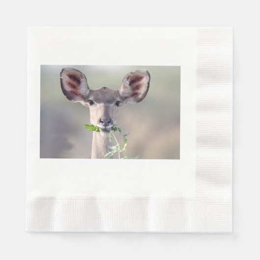 Kudu-Portrait Serviette (Vorderseite)