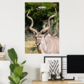 Kudu Poster (Heimbüro)