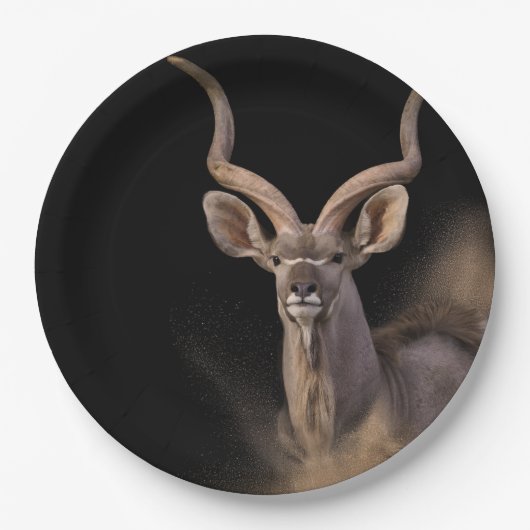 Kudus Geist Pappteller (Vorderseite)