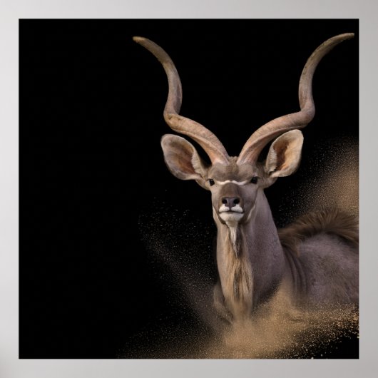 Kudus Geist Poster (Vorne)