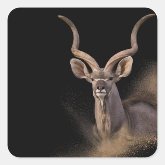 Kudus Geist Quadratischer Aufkleber (Vorderseite)