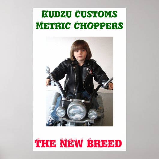 Kudzu Customs Poster (Vorne)