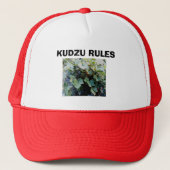 KUDZU REGELN TRUCKERKAPPE (Vorderseite)