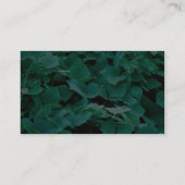 Kudzu Visitenkarte (Rückseite)