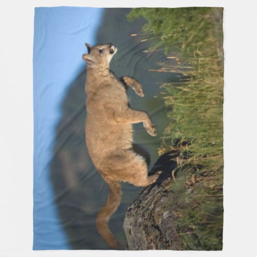 KUGAR FLEECEDECKE (Vorderseite)