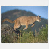 KUGAR FLEECEDECKE (Vorderseite (Horizontal))