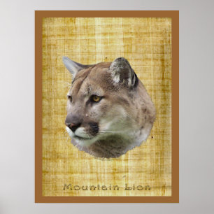 KUGAR, MOUNTAIN LION, PUMA Poster