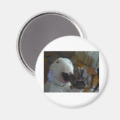 Kugel Magnet (Vorderseite/Rückseite)