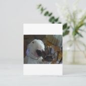 Kugel Postkarte (Stehend Vorderseite)