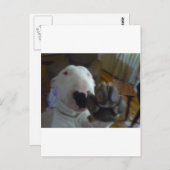 Kugel Postkarte (Vorne/Hinten)