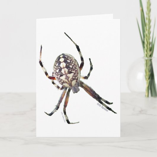 Kugel-Spinne Karte (Vorderseite)