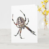 Kugel-Spinne Karte (Gelbe Blume)