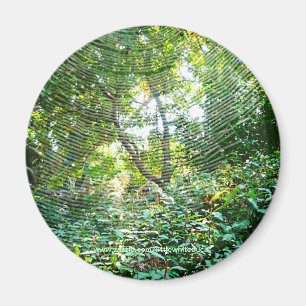 Kugel-Spinnen-Netz - Magnet