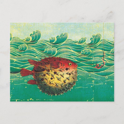 Kugelfisch Postkarte (Vorderseite)