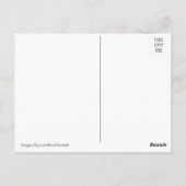 Kugeln in schöner Farbe Postkarte (Rückseite)