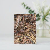 Kugeln, Munition Postkarte (Stehend Vorderseite)