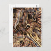 Kugeln, Munition Postkarte (Vorne/Hinten)