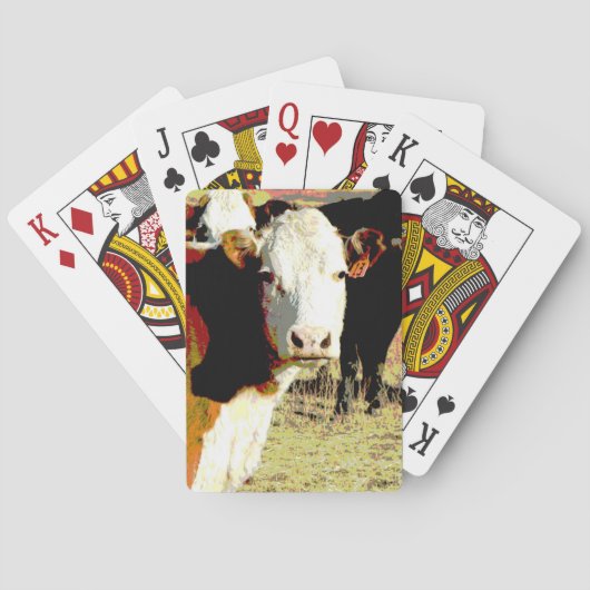 Kuh 13 Spielkarten Original Foto Art Kühe (Rückseite)
