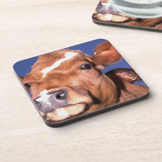 Kuh 2 untersetzer (Linke Seite)