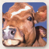 Kuh 2 untersetzer (Vorderseite)