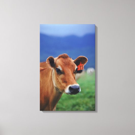 Kuh 3 leinwanddruck (Vorderseite)