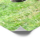 Kuh 52 sieht euch Foto Poster Art an (Ecke)