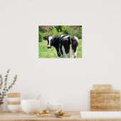 Kuh 52 sieht euch Foto Poster Art an (Küche)