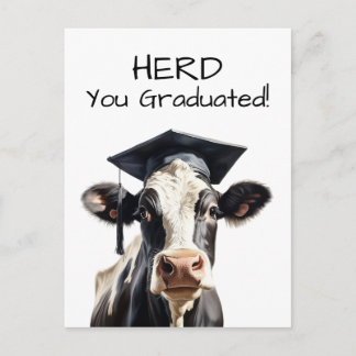 Kuh-Abschlusskarte 'Herd You Graduated' Lustig Postkarte