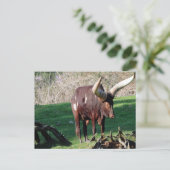 Kuh am langen Horn 3 Postkarte (Stehend Vorderseite)
