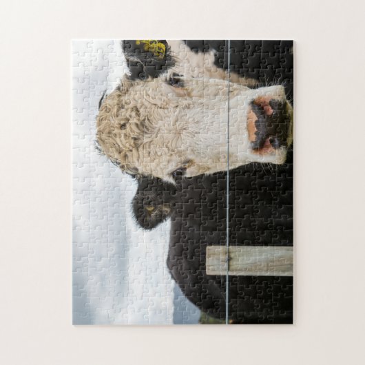 Kuh am Zaun Puzzle (Vertikal)