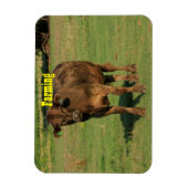 Kuh auf grüner Weide Magnet (Vertikal)