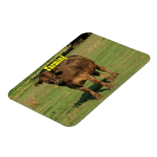 Kuh auf grüner Weide Magnet (Linke Seite)