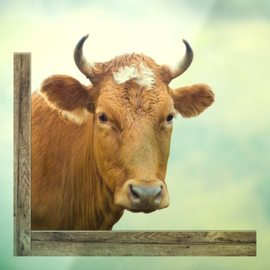 Kuh aus oder in das Fenster schauend Fensteraufkleber (Blatt 3)