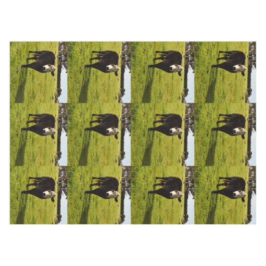 Kuh aus schwarzem Wolle mit weißem Gesicht, Tischdecke (Vorderseite (Horizontal))