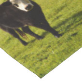 Kuh aus schwarzem Wolle mit weißem Gesicht, Tischdecke (Schrägansicht)