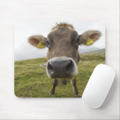 Kuh bei Tre Cime Di Lavaredo in Misurina, Mousepad (Mit Mouse)