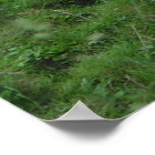 Kuh Belgischer Blauer Poster (Ecke)