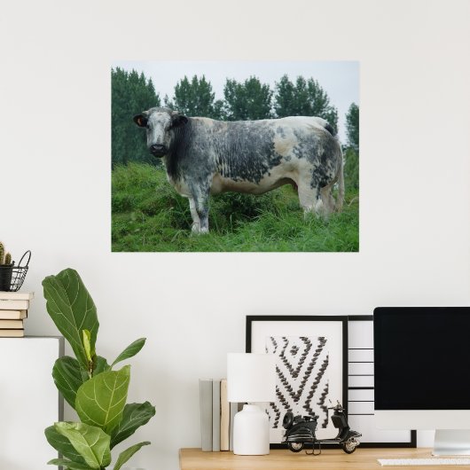 Kuh Belgischer Blauer Poster (Heimbüro)