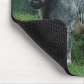Kuh-belgisches Blau Mousepad (Ecke)
