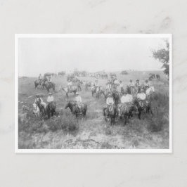 Kuh Boy Mount Postkarte