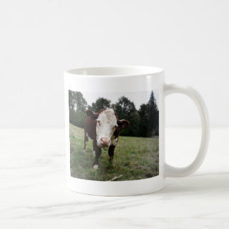 Kuh, die heraus Zunge haftet Kaffeetasse