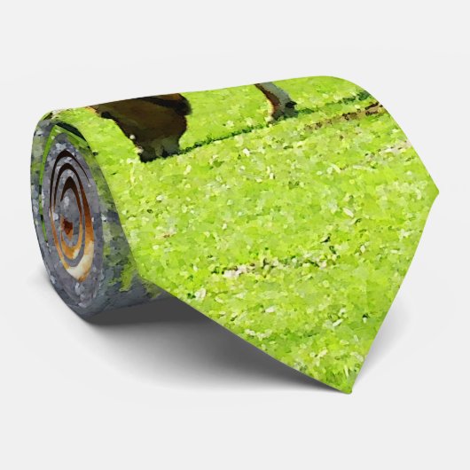 Kuh, die im Frühjahr in der Weide weiden lässt Krawatte (Gerollt)