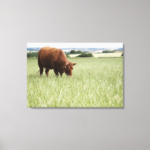 Kuh, die in der Wiese weiden lässt Leinwanddruck
