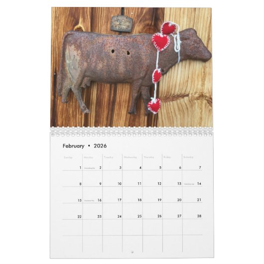 Kuh: Ein Jahr im Leben eines erschöpften Wettersch Kalender (Feb 2026)