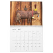 Kuh: Ein Jahr im Leben eines erschöpften Wettersch Kalender (Jan 2027)