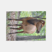 Kuh-Elche Fleecedecke (Vorderseite (Horizontal))